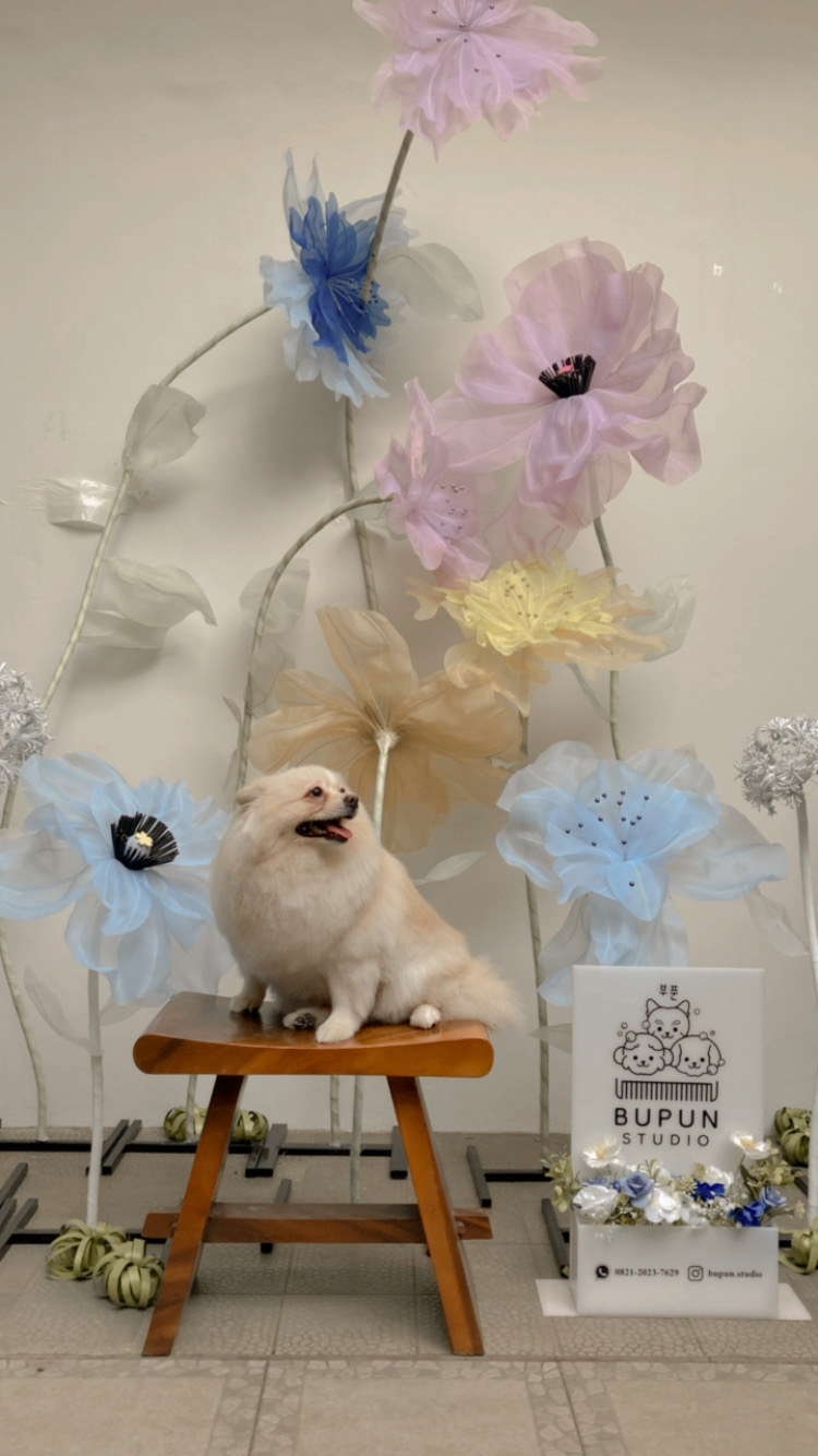 Bupun Studio — pet-friendly cozy cafe in Bandung Wetan